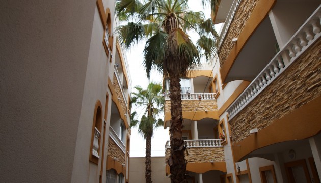 Apartment - Flat - Wiederverkauf - Formentera del Segura -
                Formentera de Segura