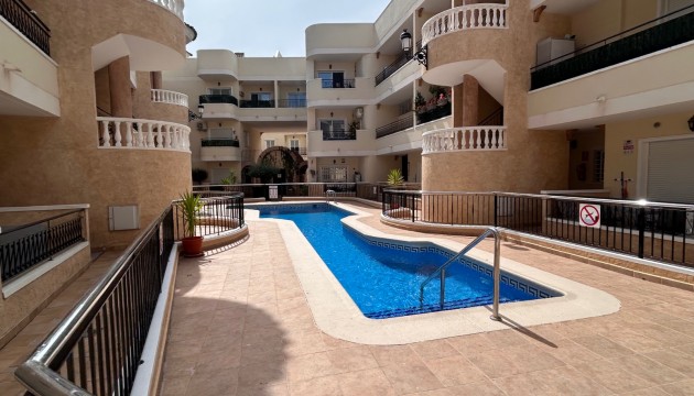 Apartment - Revente - Jacarilla -
                Jacarilla