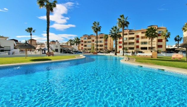 Apartment - Revente - Playa Flamenca - Playa Flamenca