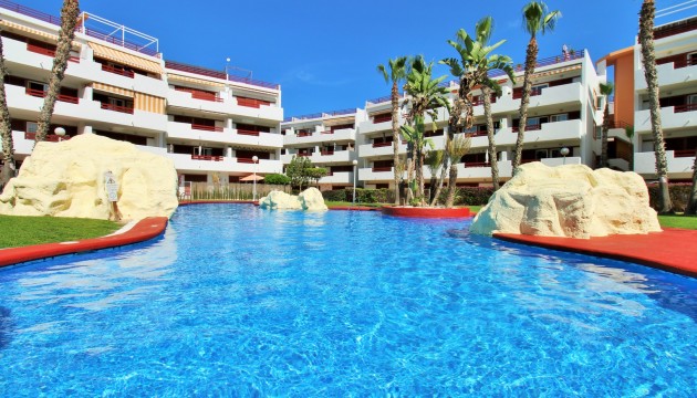 Apartment - Wiederverkauf - Playa Flamenca -
                Playa Flamenca