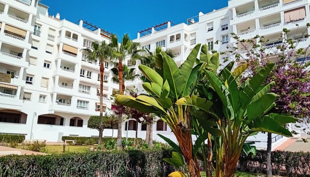 Appartement - Herverkoop - Marbella - Nueva Andalucía