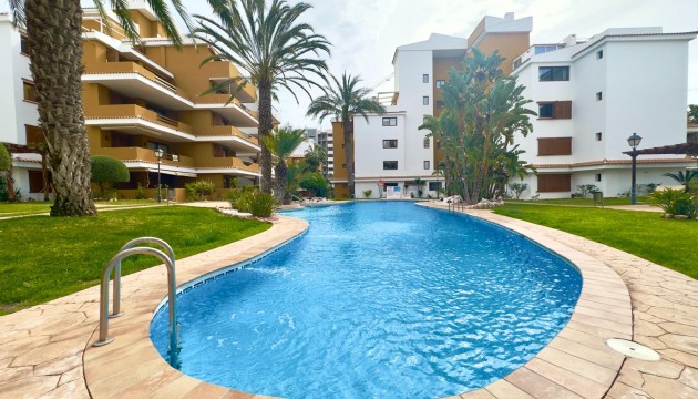 Appartement - Herverkoop - Torrevieja - Punta prima
