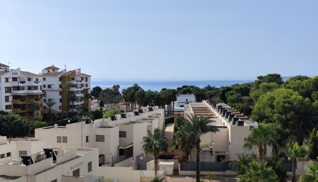 Attique - Revente - Punta Prima - Punta Prima