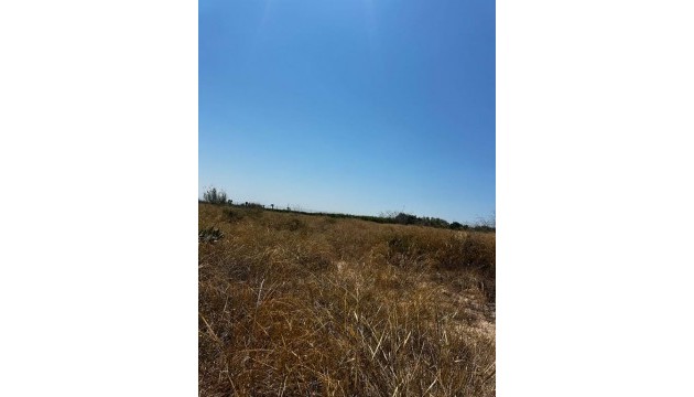 Building Plot - Herverkoop - Elche - Elche