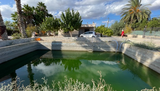 Chalet / Villa - Resale - Crevillent - Crevillente