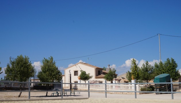 Country House - Resale - Yecla - Inland