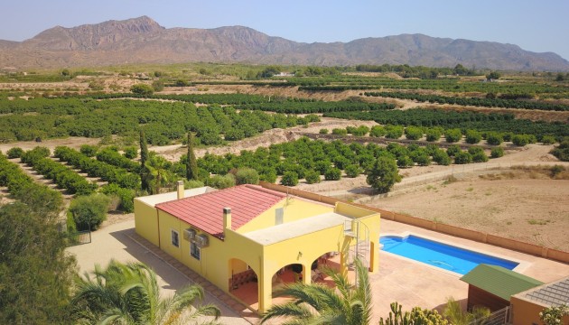 Country House - Reventa - Albatera - Albatera - Country