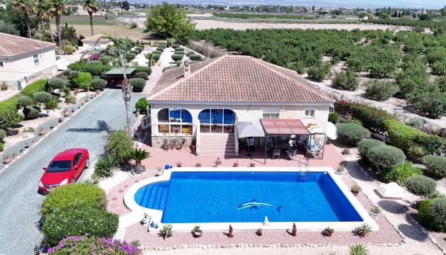 Country House - Reventa - Catral - Catral