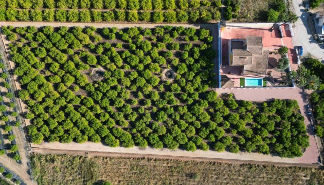 Finca Country Property - Resale - Orihuela - Orihuela