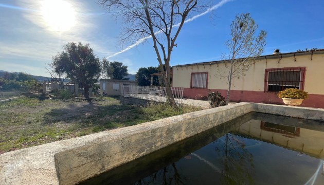 Finca / Country Property - Revente - Aspe - Aspe