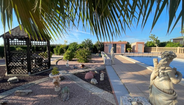 Finca / Country Property - Revente - Crevillente - Crevillente