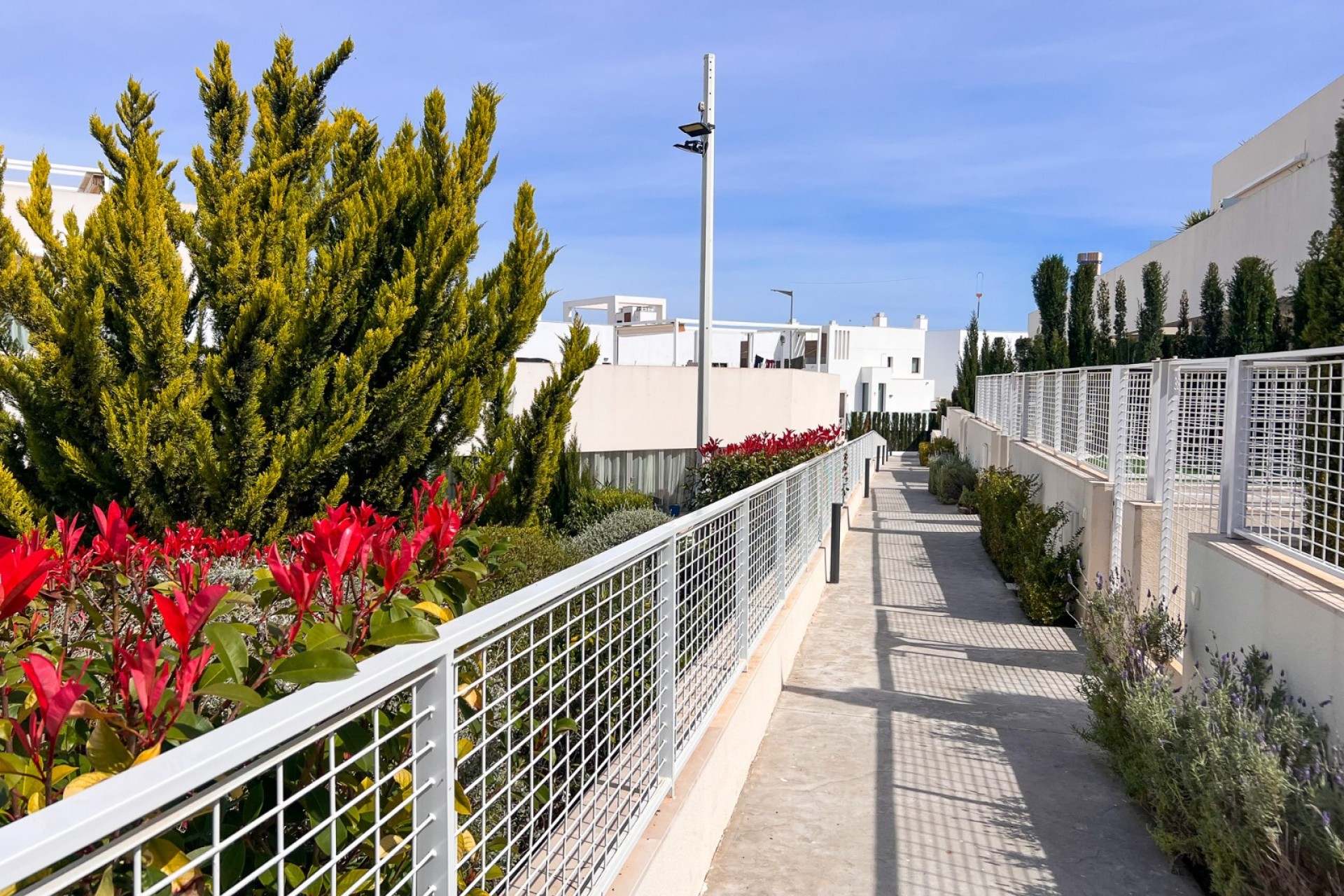 Herverkoop - Apartamento -
Torrevieja - Los Balcones