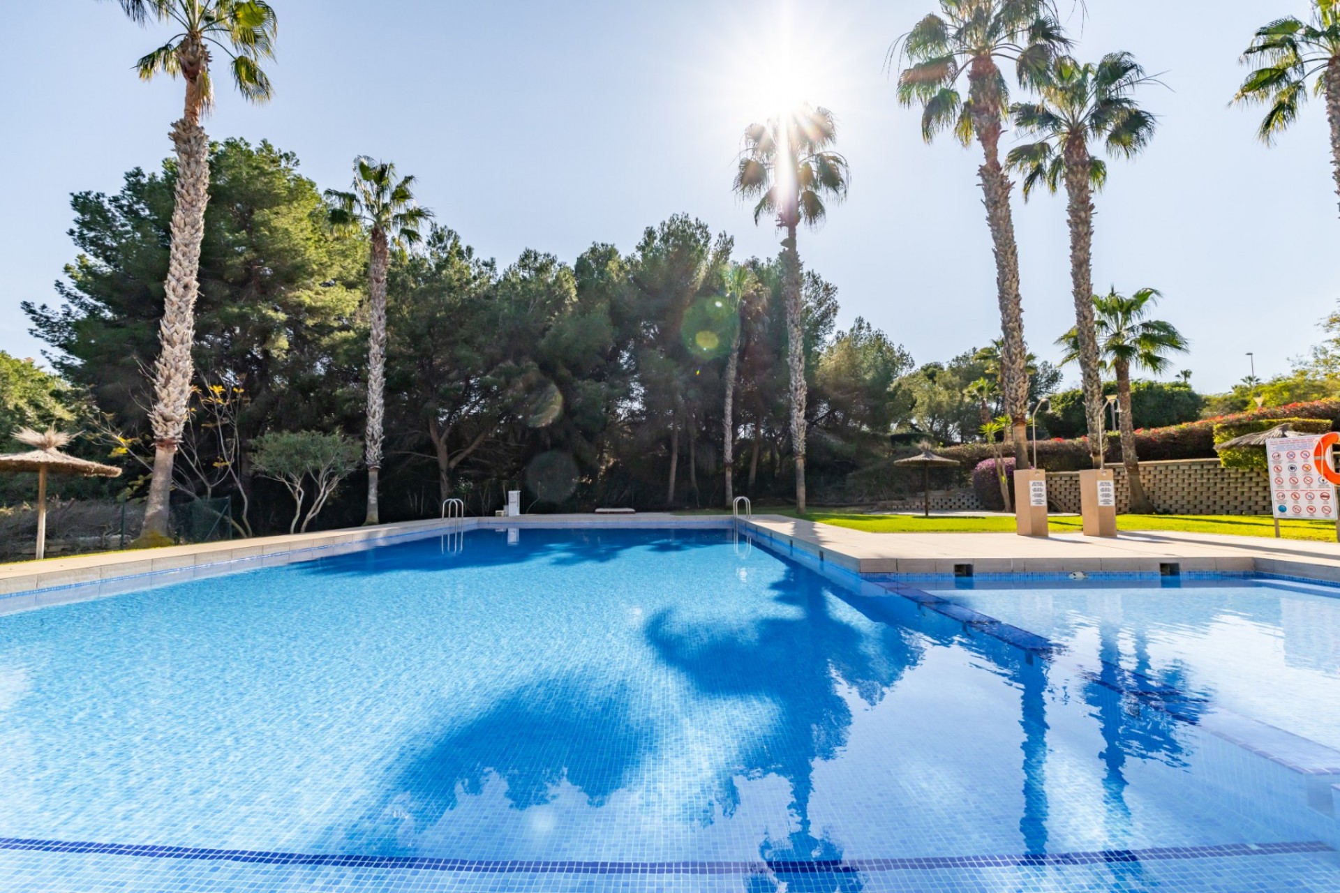 Herverkoop - Appartement / flat -
Orihuela Costa* - Los Dolses*