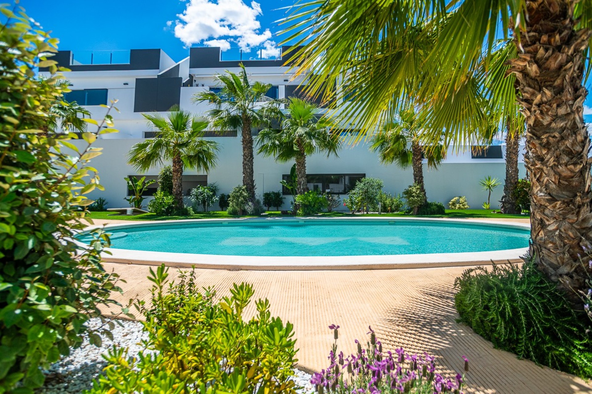 Herverkoop - Appartement -
Torrevieja - LOS BALCONES - LOS ALTOS