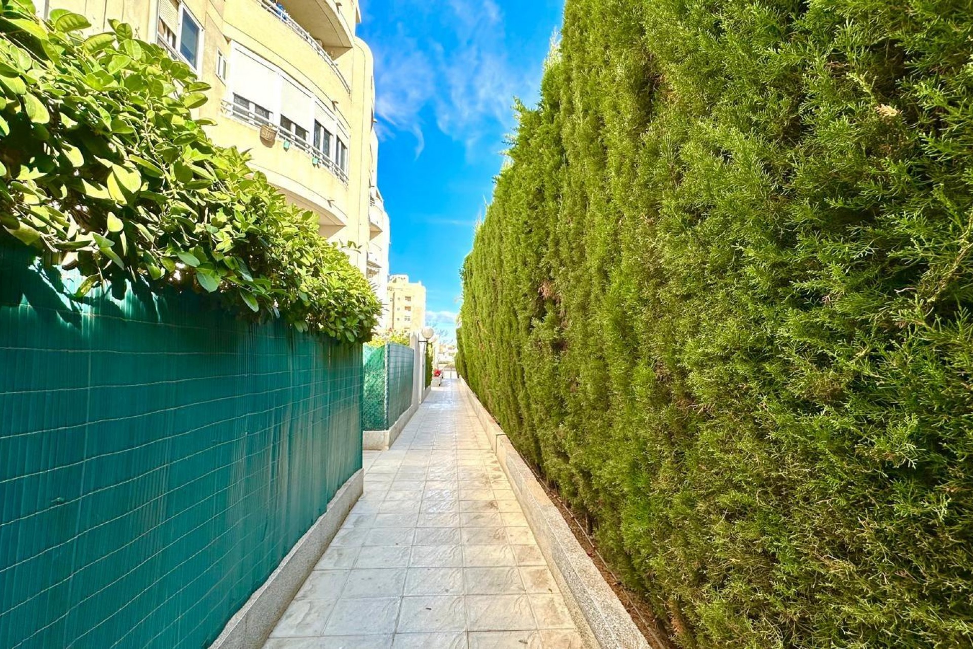 Herverkoop - Appartement -
Torrevieja - Nueva Torrevieja - Aguas Nuevas