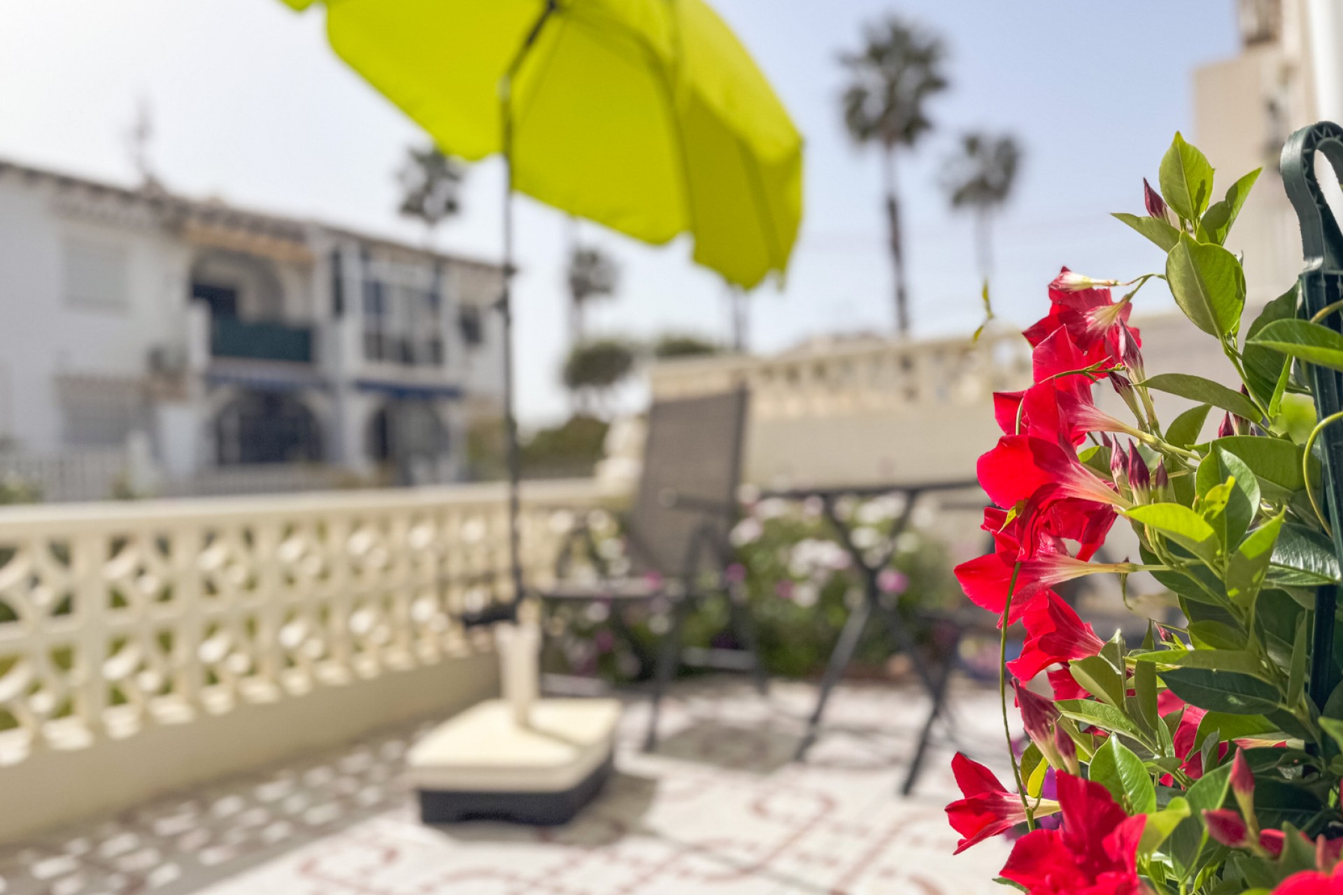 Herverkoop - Bungalow -
Torrevieja - Lago jardin