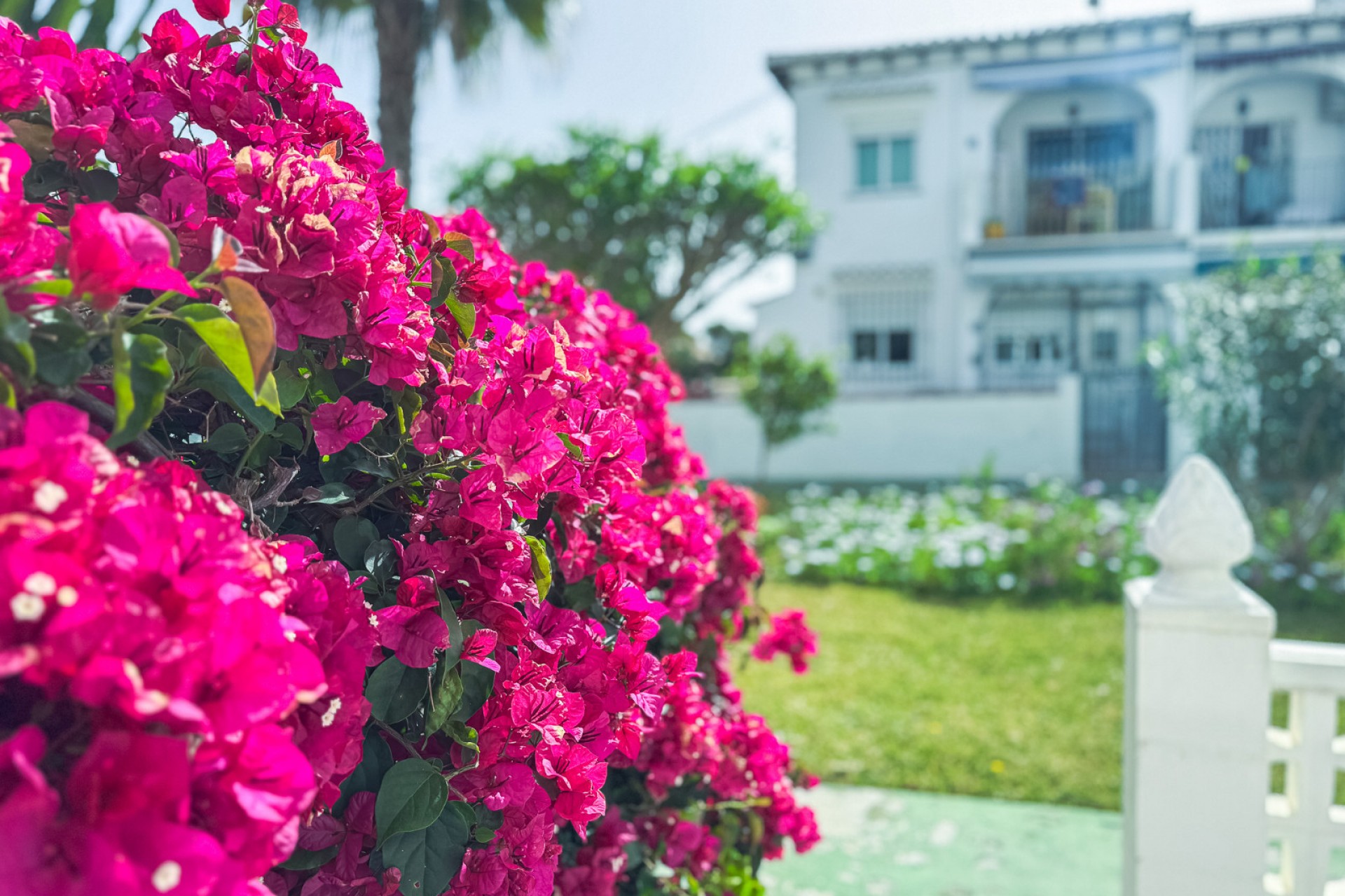 Herverkoop - Bungalow -
Torrevieja - Lago jardin