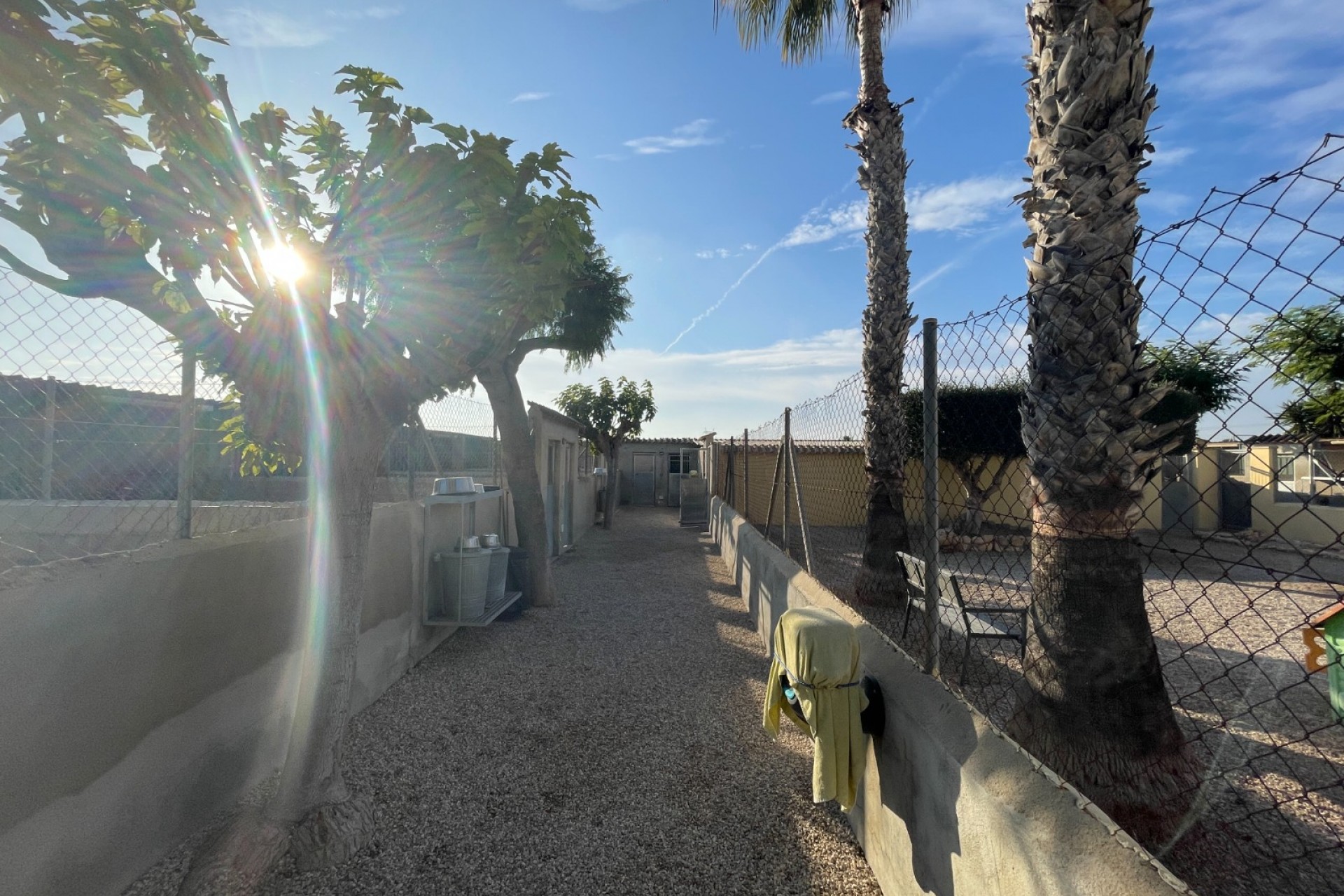 Herverkoop - Country Property/Finca -
Elche - Las Bayas