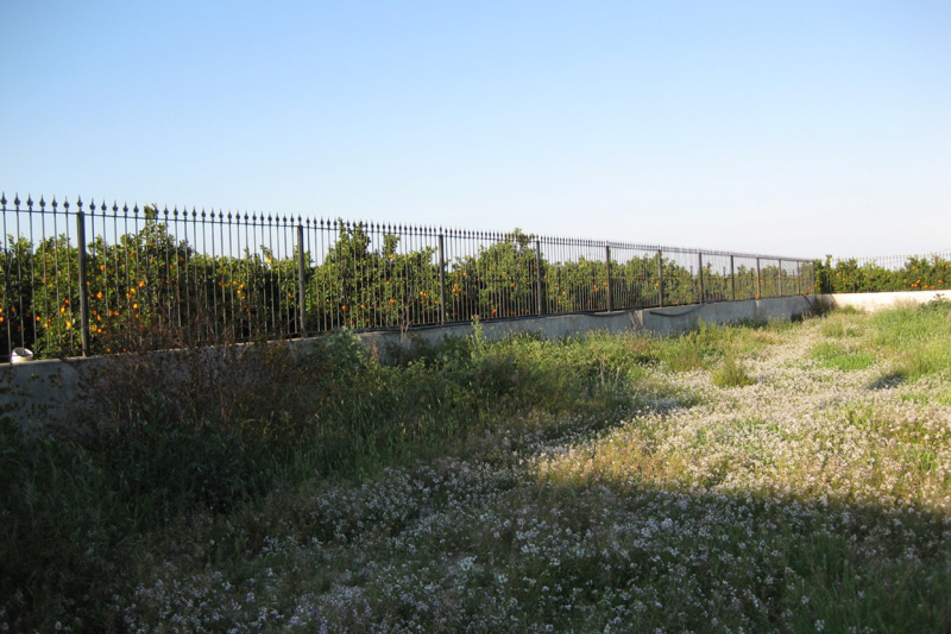 Herverkoop - Finca / Country Property -
Benferri