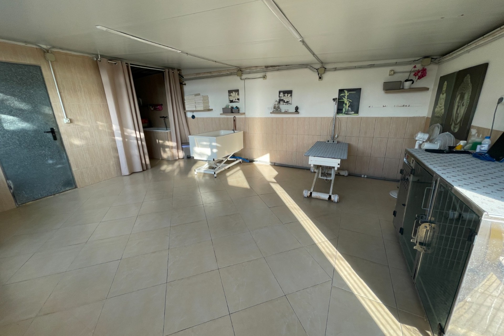 Herverkoop - Finca / Country Property -
Elche - Las Bayas