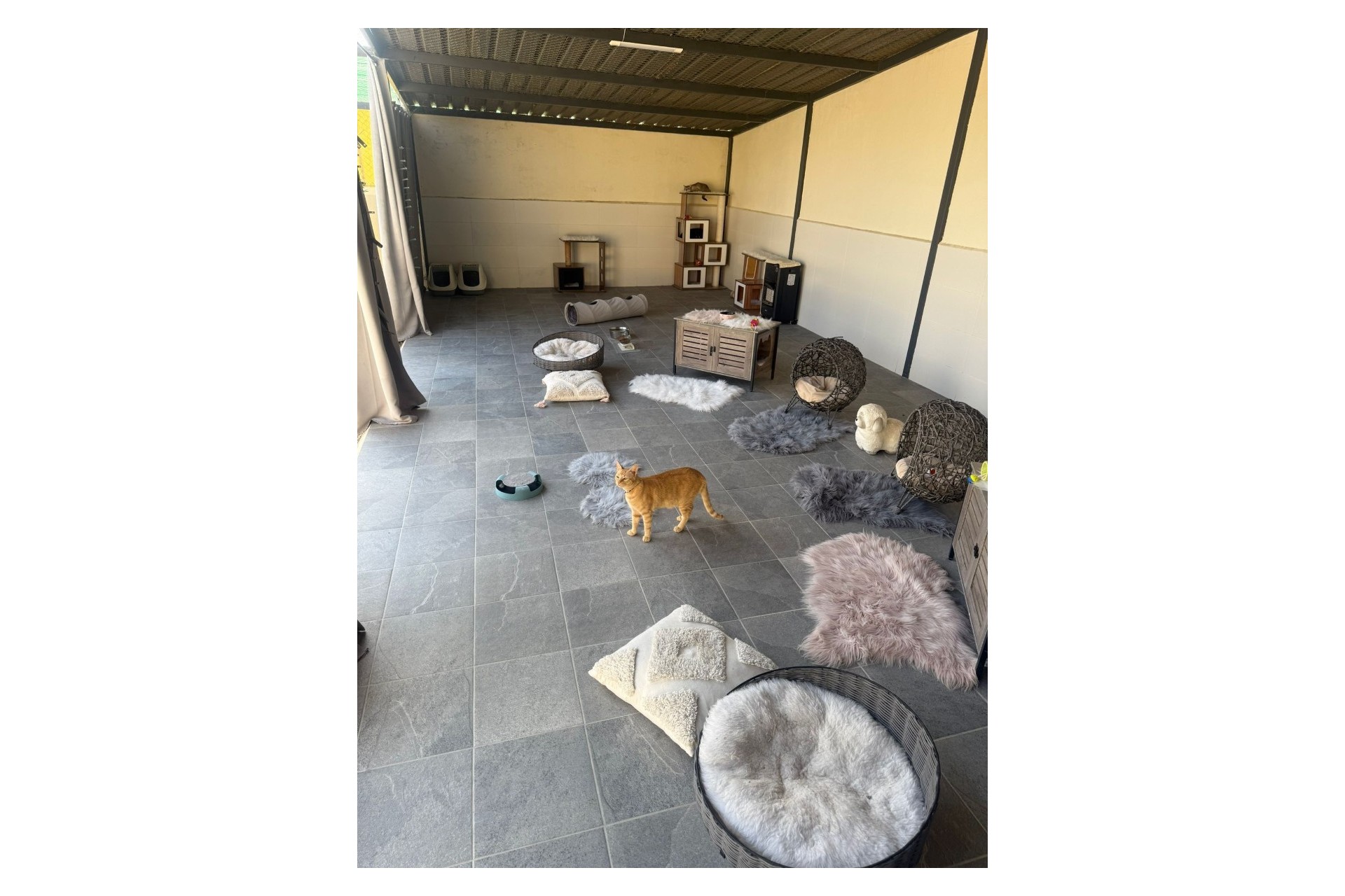 Herverkoop - Finca / Country Property -
Elche - Las Bayas