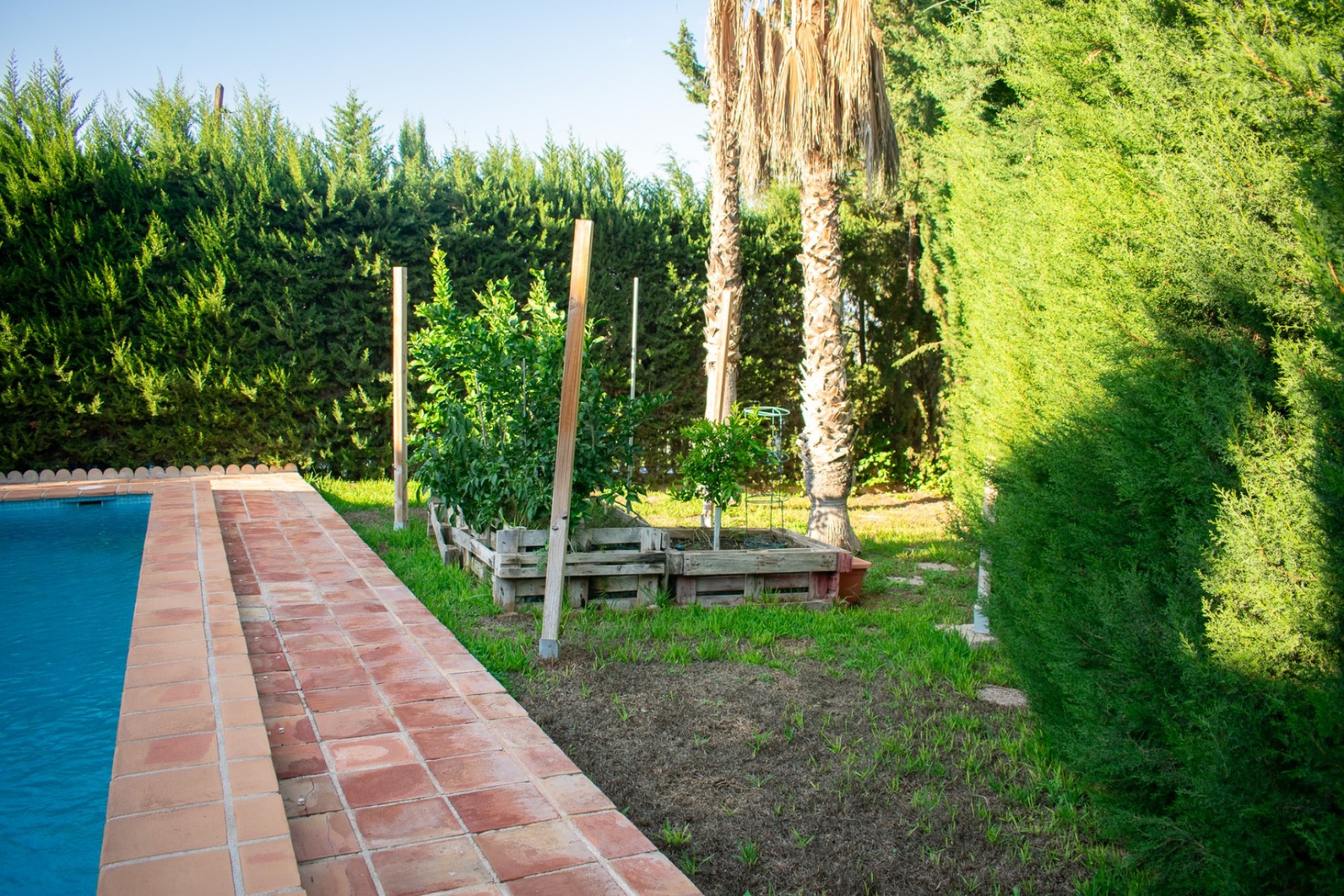 Herverkoop - Independent villa -
Molina De Segura - Torre de Cotillas