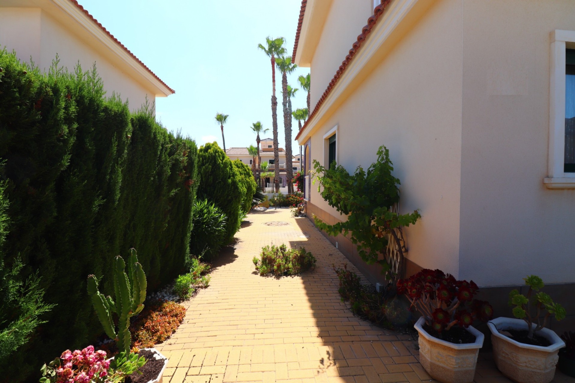 Herverkoop - Stadswoning -
Ciudad Quesada - Doña Pepa
