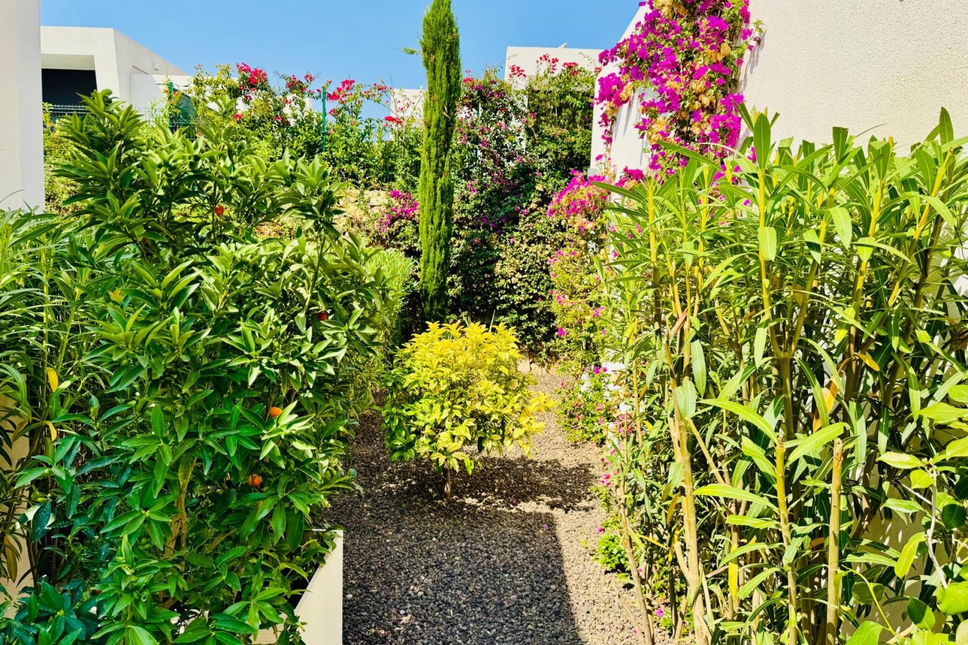 Herverkoop - Villa -
Algorfa - La finca Golf