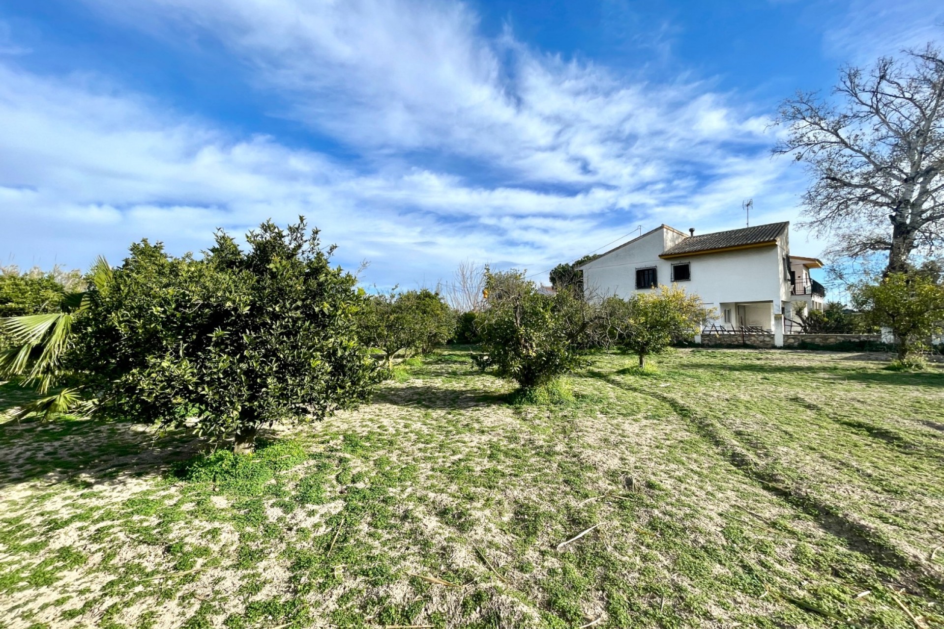 Herverkoop - Villa -
Benejuzar - Comunidad Valenciana