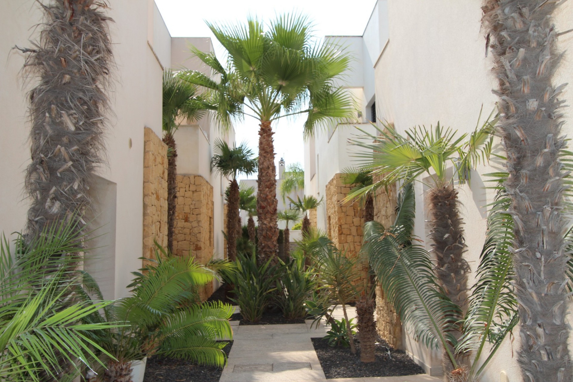 Herverkoop - Villa -
Ciudad Quesada - Doña Pepa