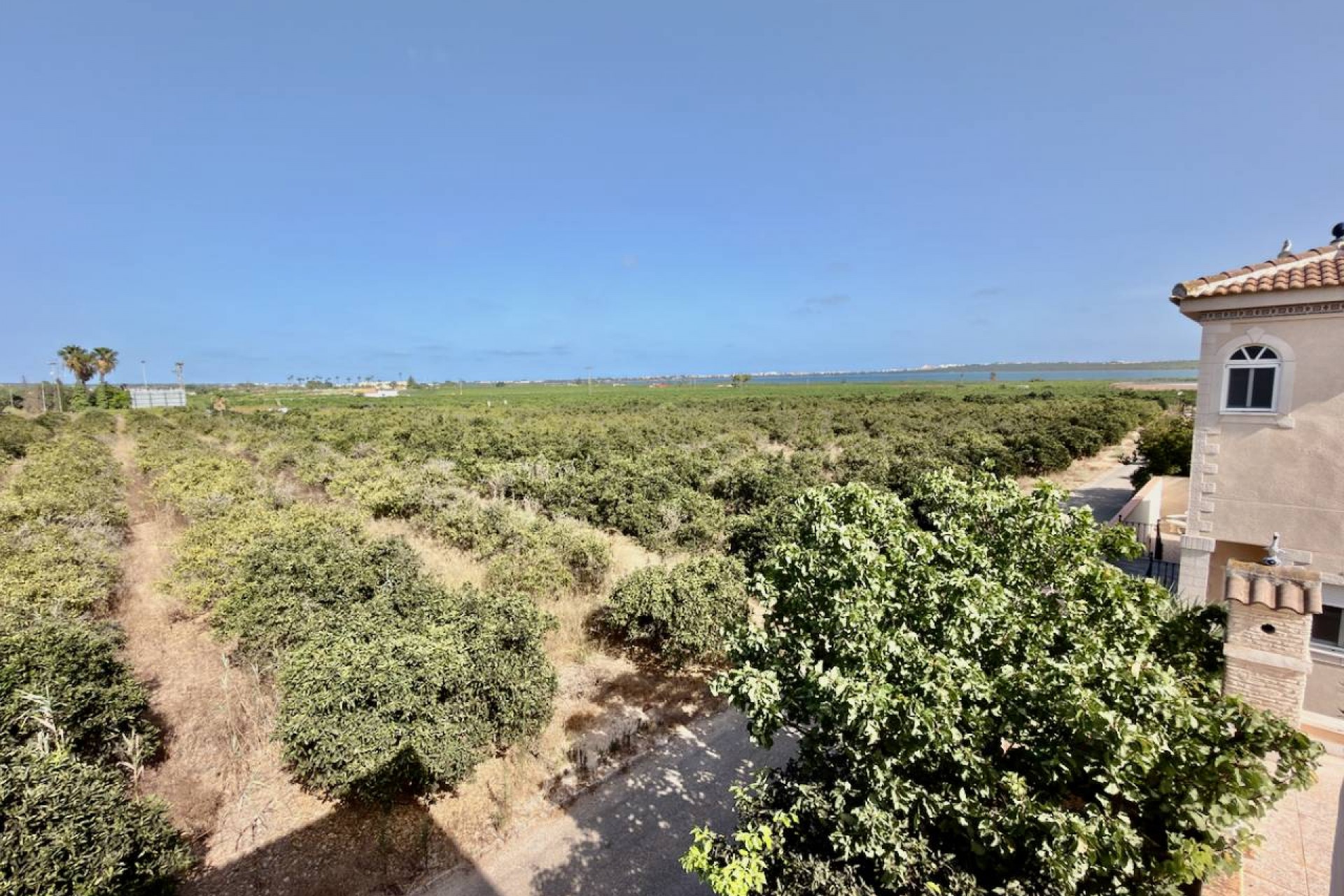 Herverkoop - Villa -
Ciudad Quesada - Doña Pepa