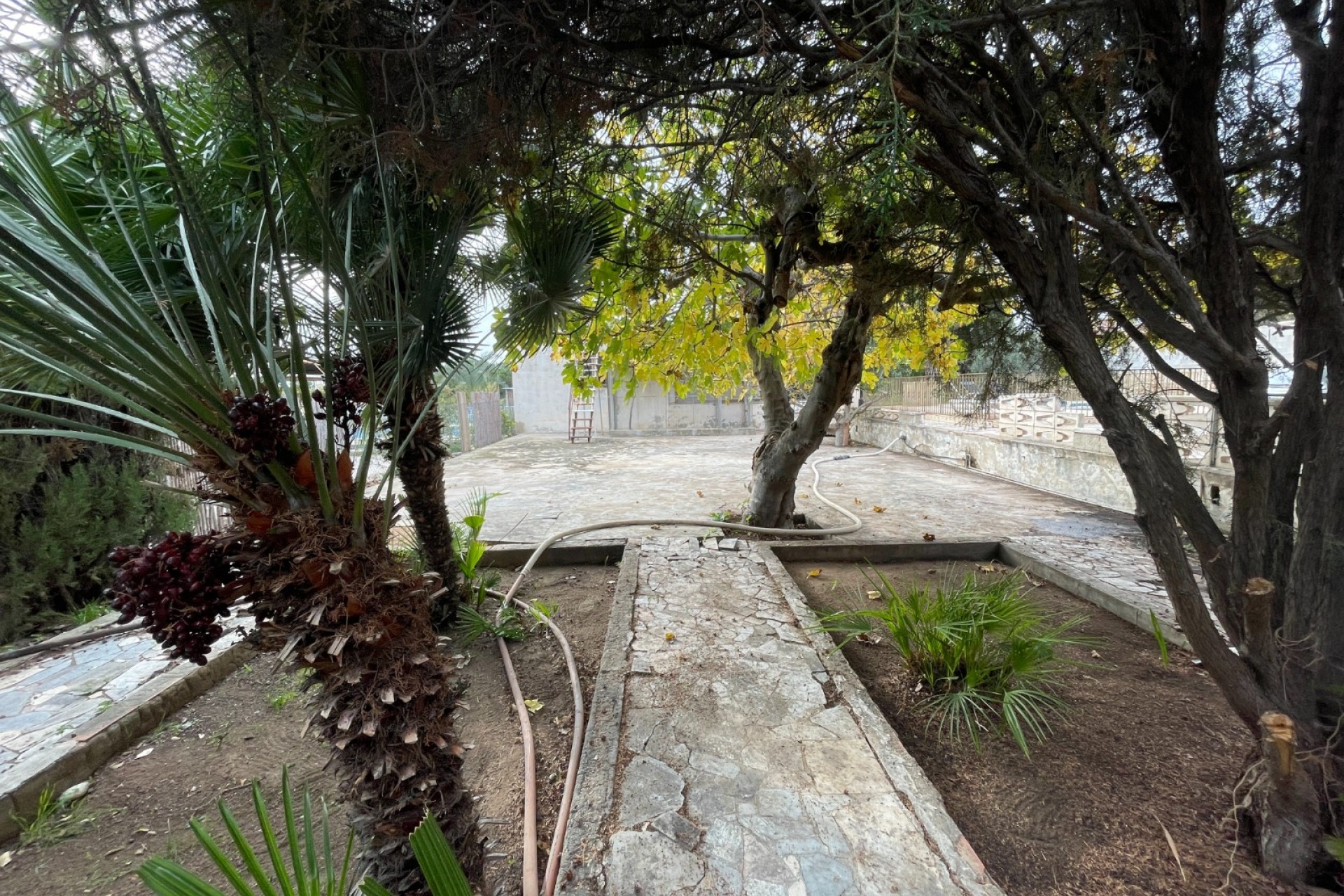 Herverkoop - Villa -
Elche