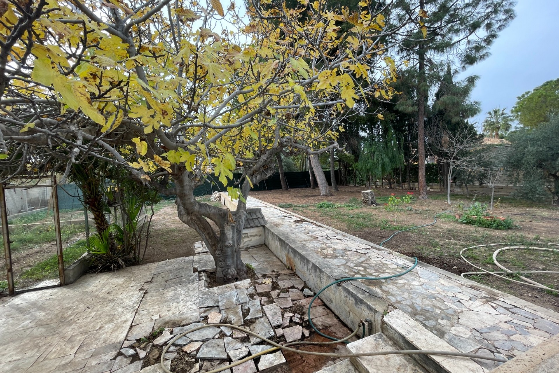 Herverkoop - Villa -
Elche