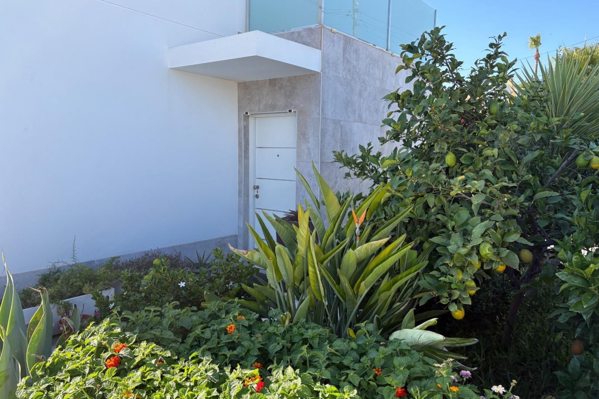 Herverkoop - Villa / House -
Torrevieja - La Siesta