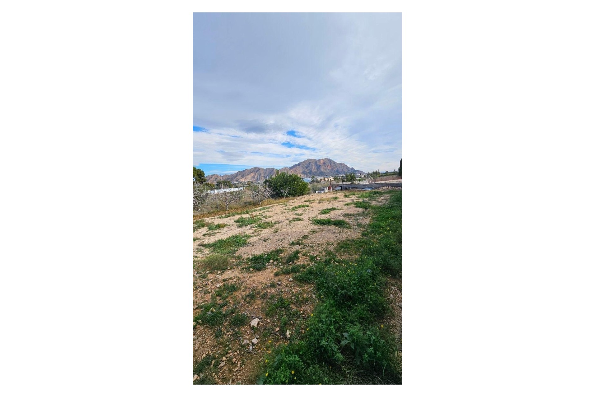 Herverkoop - Villa -
Orihuela