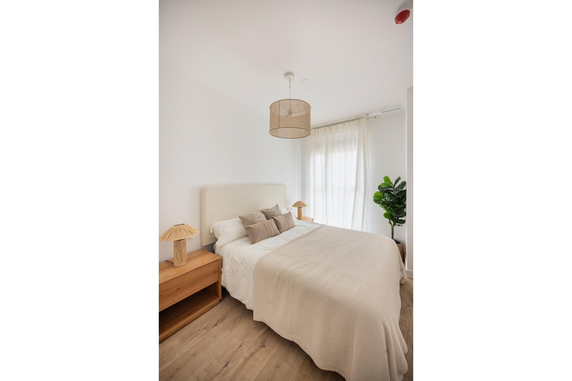 Neue Gebäude - Apartment -
Málaga - Centro