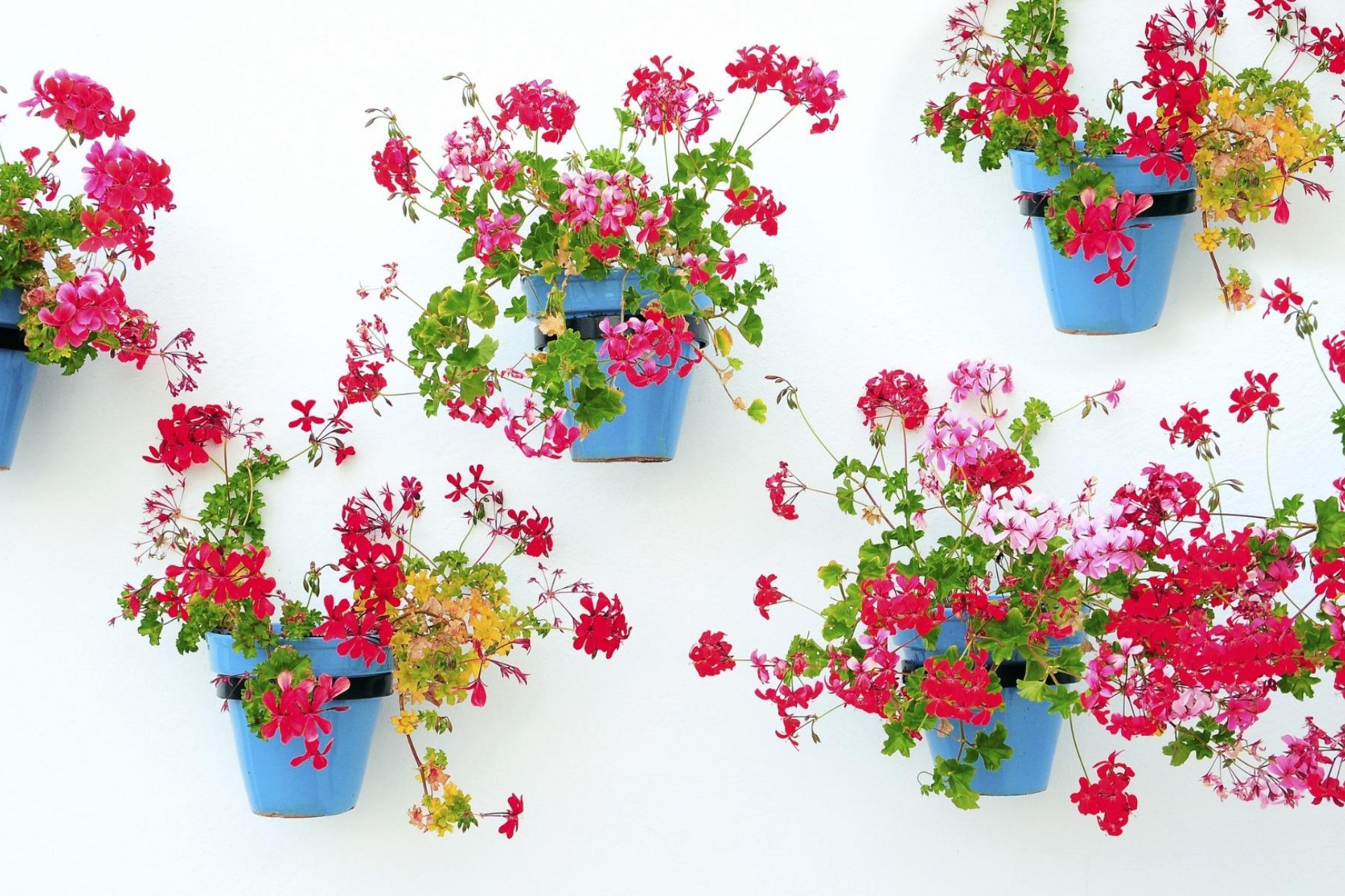 Neue Gebäude - Apartment -
Mijas - La Noria Golf