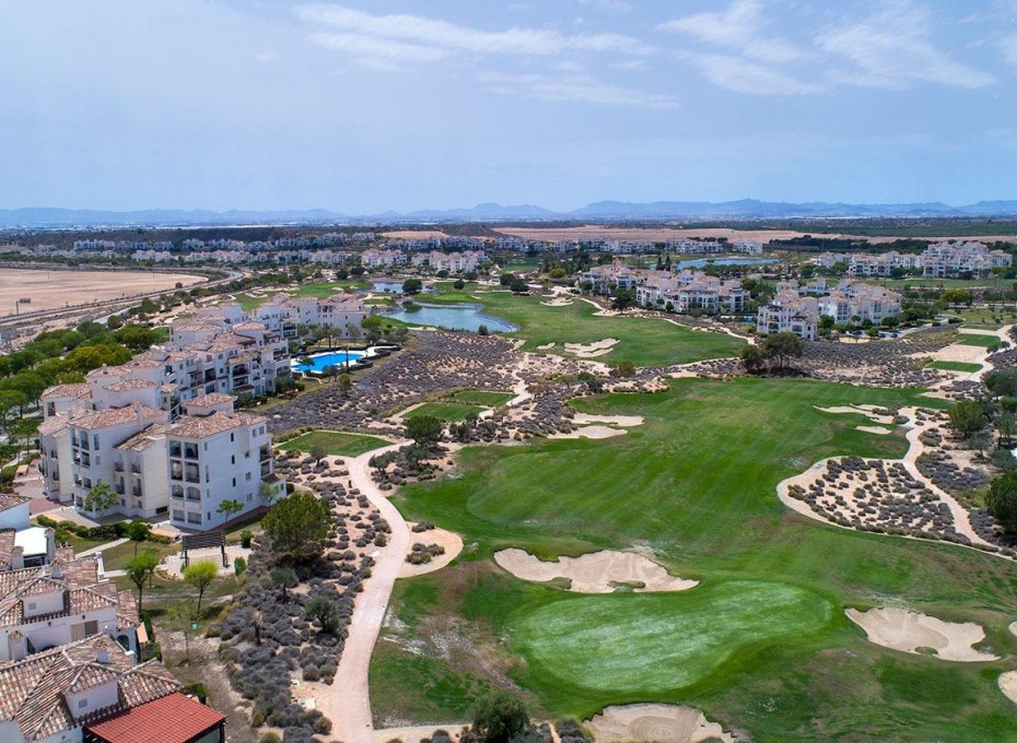 Neue Gebäude - Semidetached -
Sucina