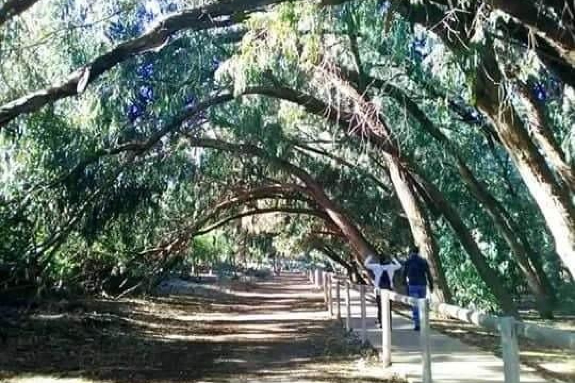 Neue Gebäude - Top Floor Bungalow -
Torrevieja