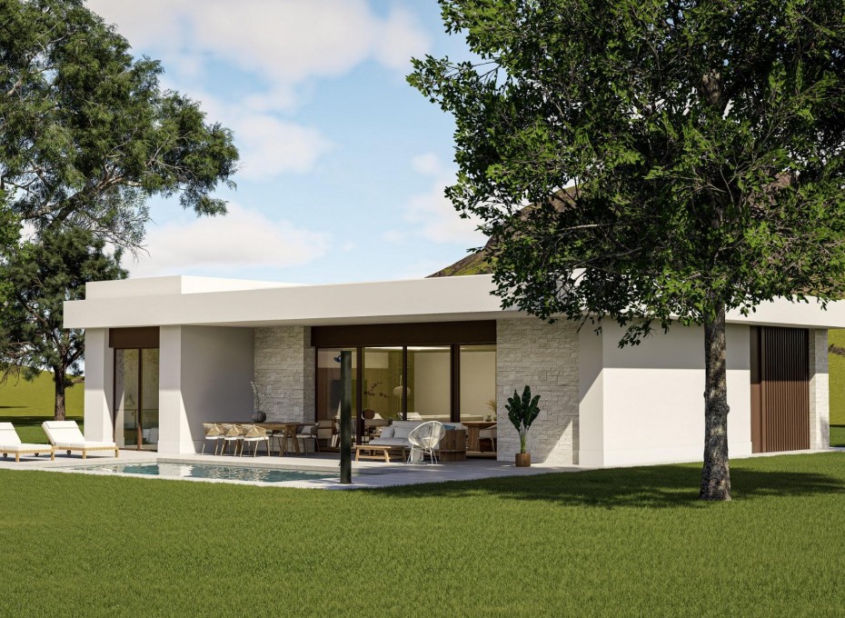Neue Gebäude - Villa -
Pinoso