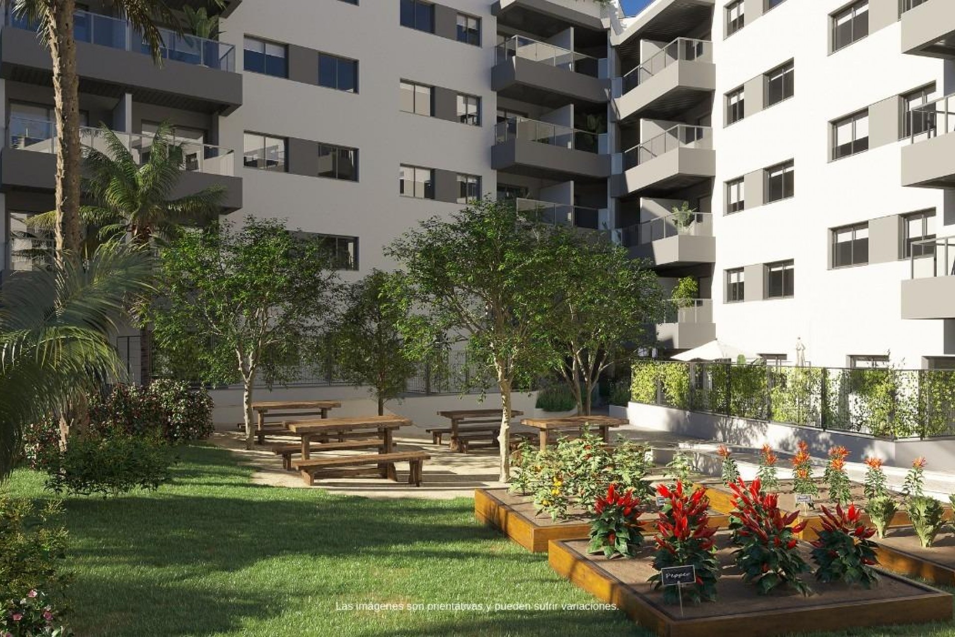 New Build - Apartment -
Mijas