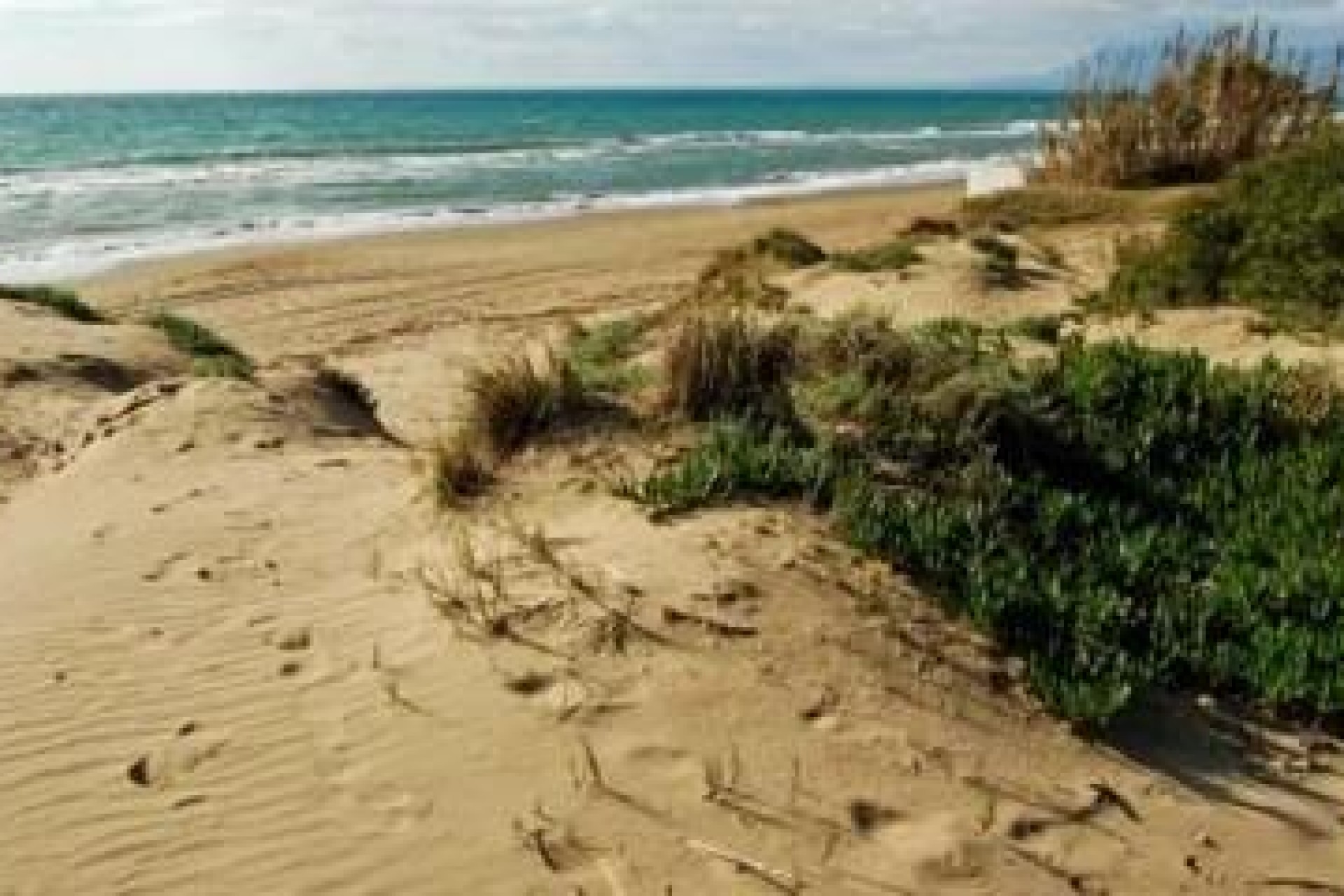 New Build - Ground floor apartment -
Marbella