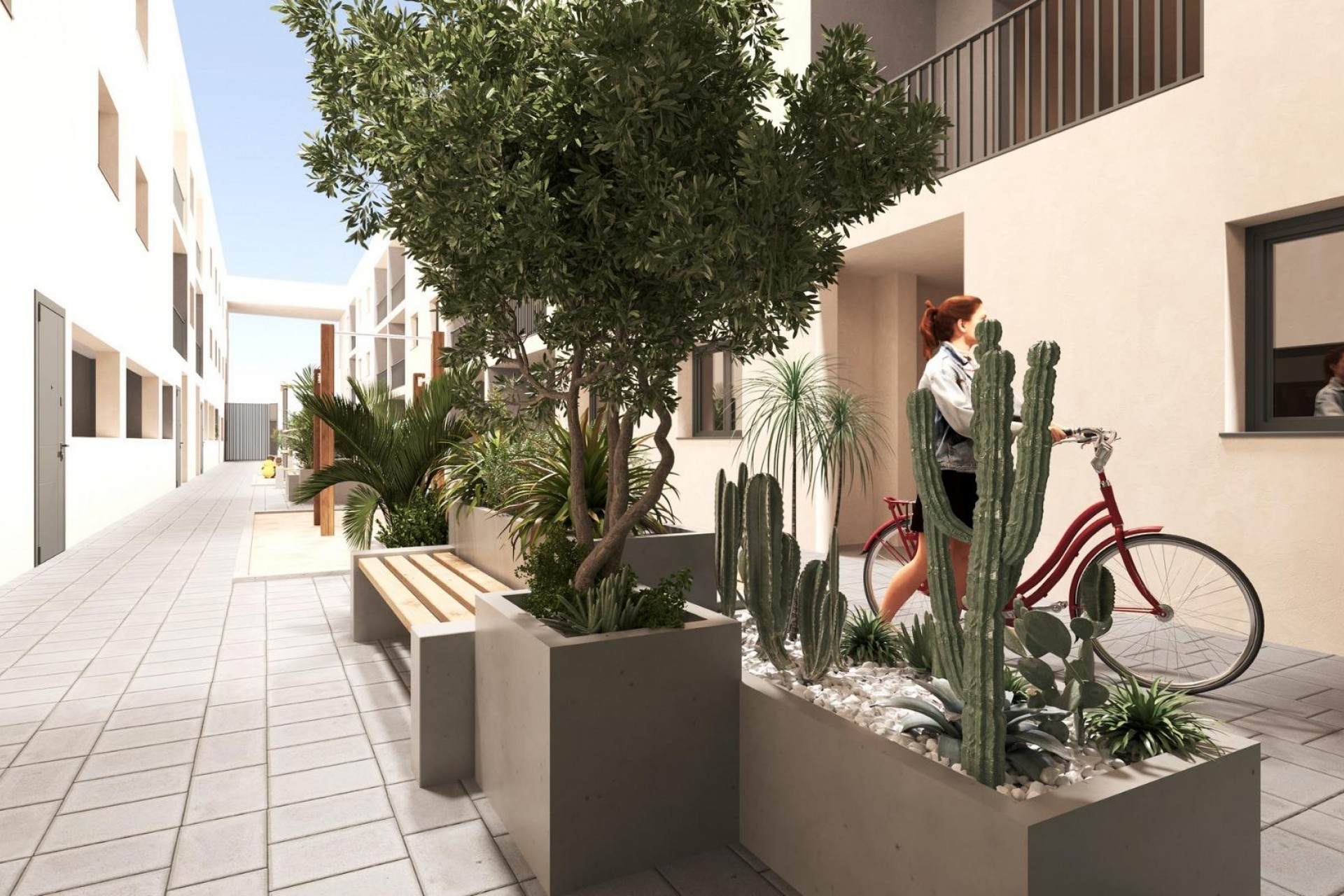 New Build - Ground floor apartment -
San Miguel de Salinas