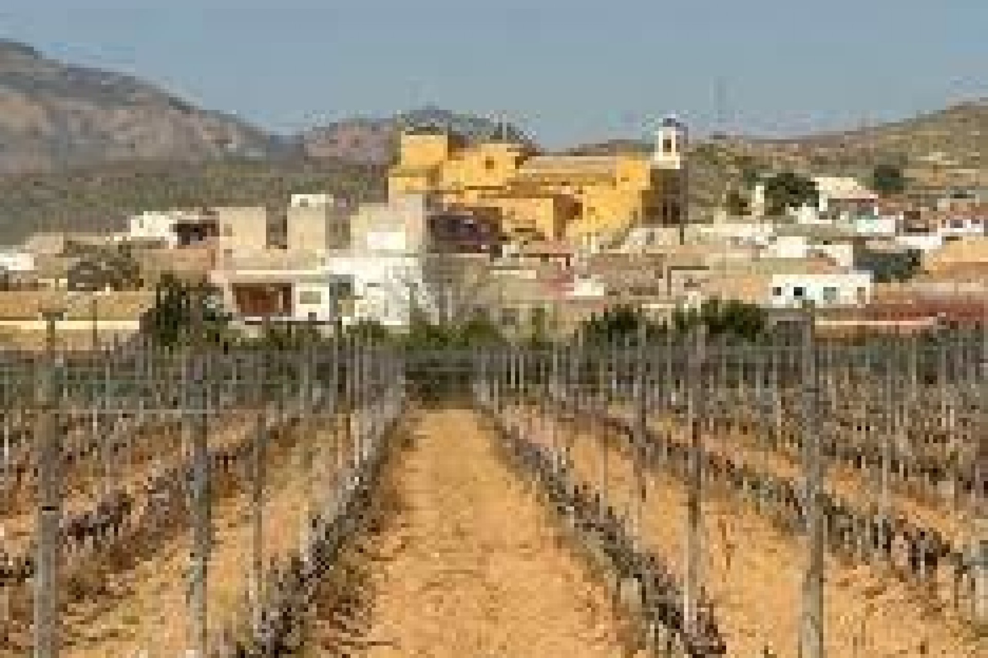 New Build - Ground Floor Bungalow -
Hondón de las Nieves