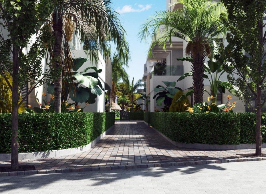 New Build - Penthouse -
Torre Pacheco