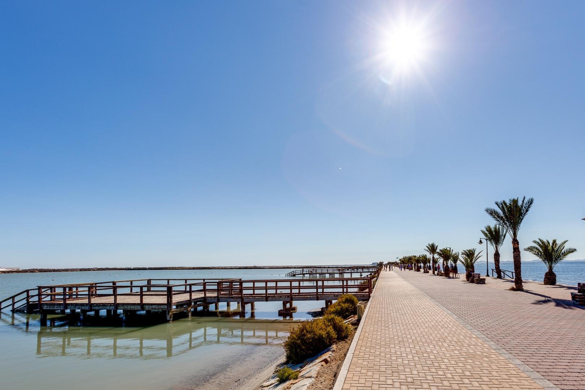 New Build - Villa -
Pilar de la Horadada