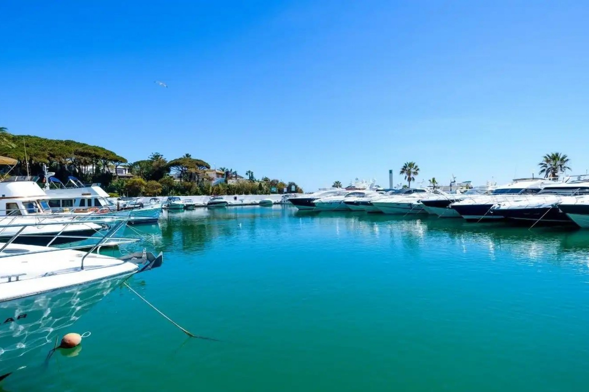 Nieuwbouw Woningen - Appartement -
Marbella