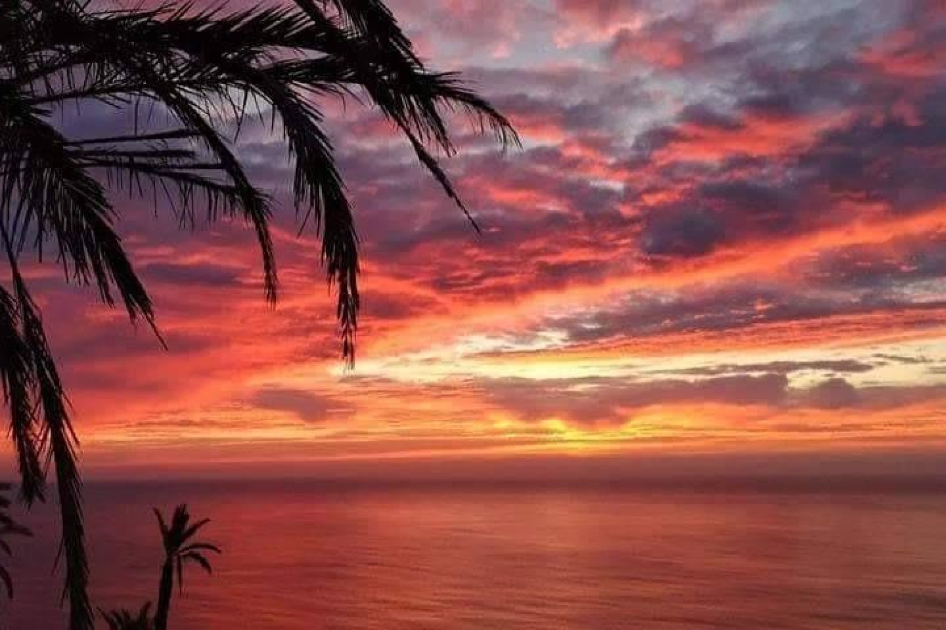 Nieuwbouw Woningen - Ground Floor Bungalow -
Torrevieja