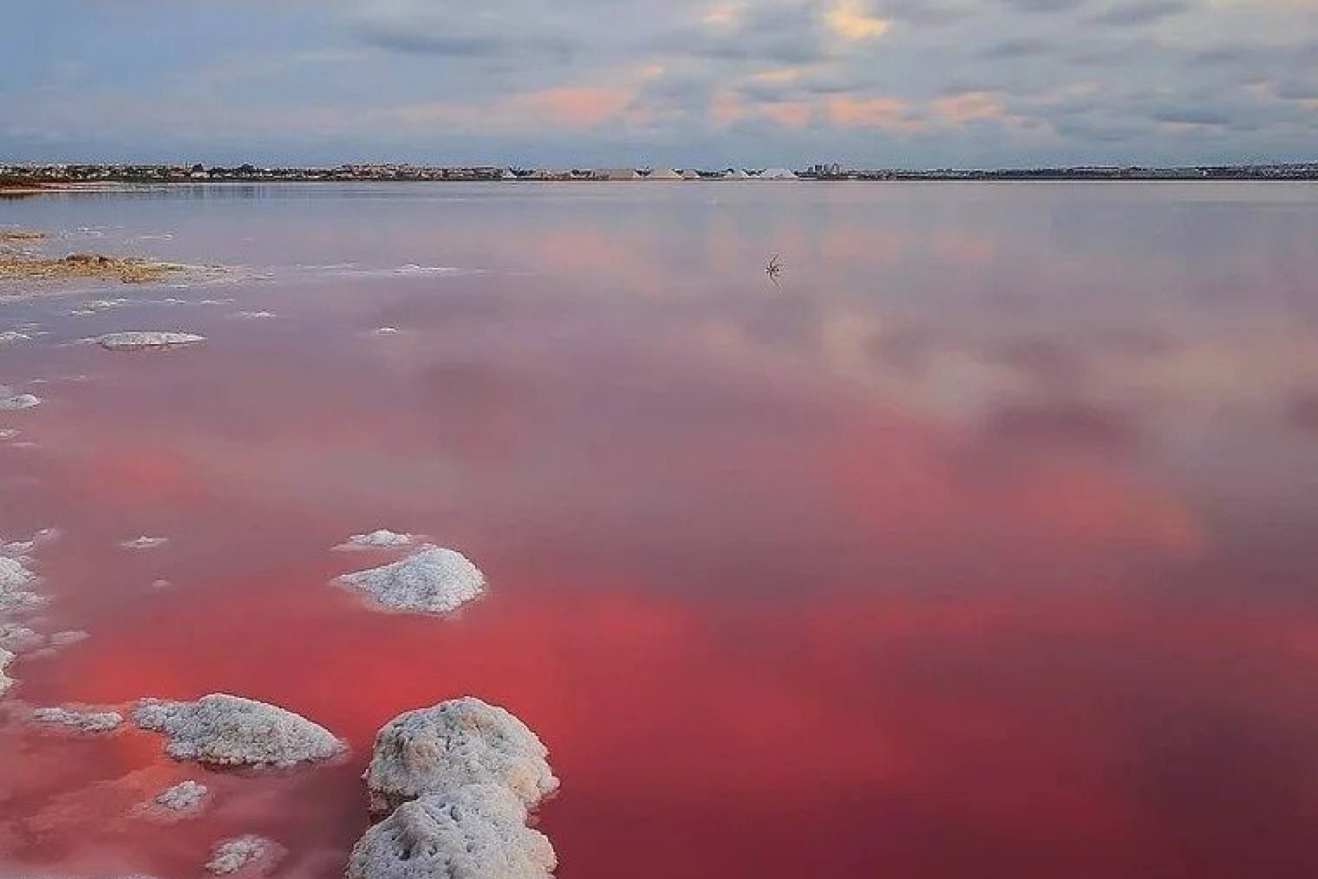 Nieuwbouw Woningen - Ground Floor Bungalow -
Torrevieja