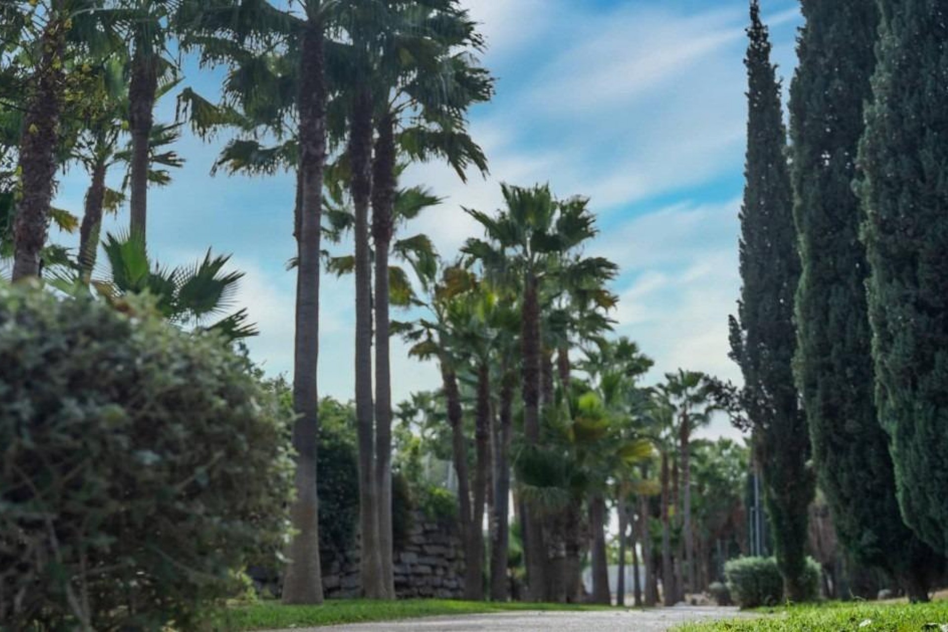 Nieuwbouw Woningen - Penthouse -
Fuengirola